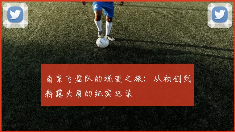 南京飞盘队的蜕变之旅：从初创到崭露头角的纪实记录