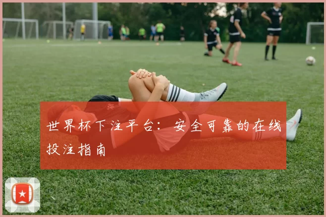世界杯下注平台:安全可靠的在线投注指南