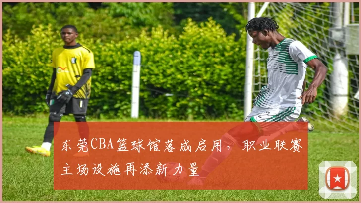 东莞CBA篮球馆落成启用,职业联赛主场设施再添新力量