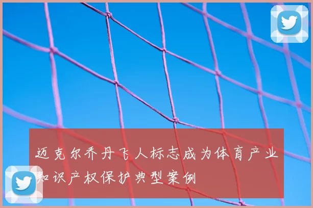 迈克尔乔丹飞人标志成为体育产业知识产权保护典型案例