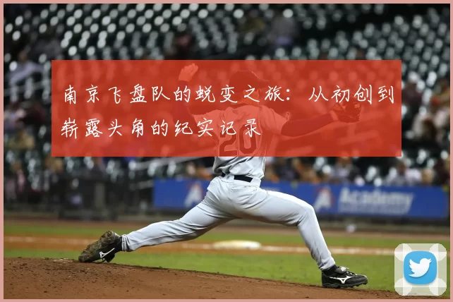 南京飞盘队的蜕变之旅:从初创到崭露头角的纪实记录