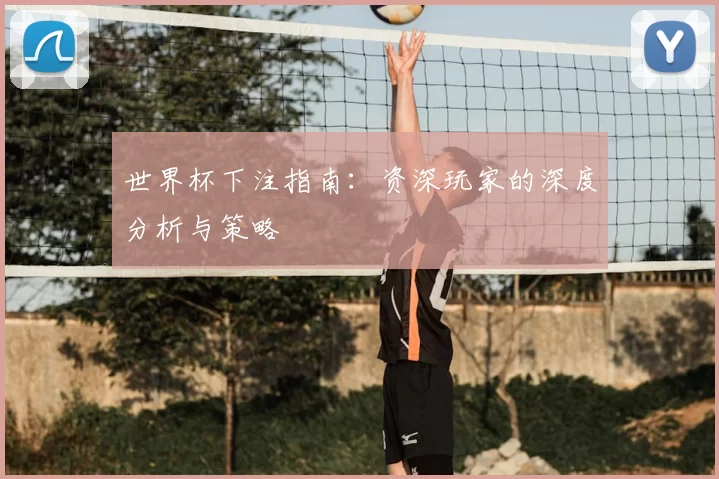 世界杯下注指南:资深玩家的深度分析与策略