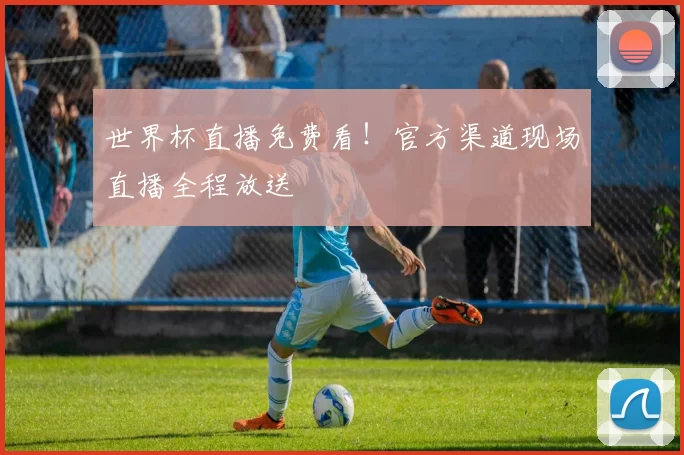 世界杯直播免费看!官方渠道现场直播全程放送