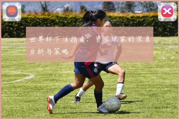 世界杯下注指南:资深玩家的深度分析与策略