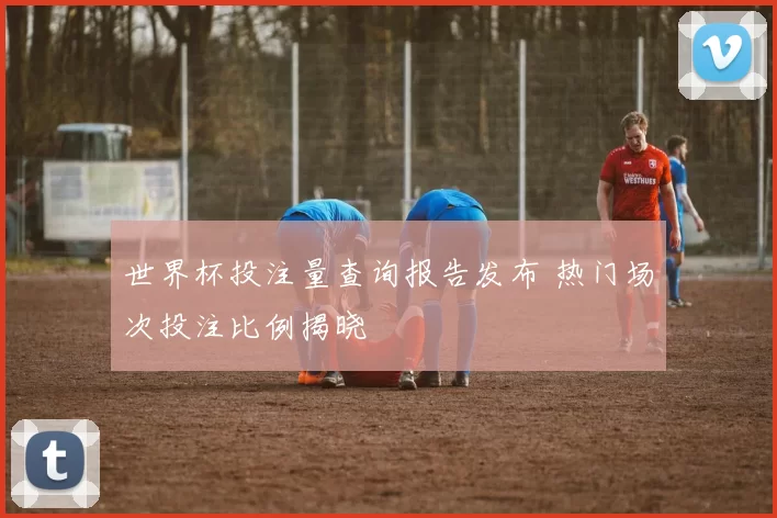 世界杯投注量查询报告发布 热门场次投注比例揭晓