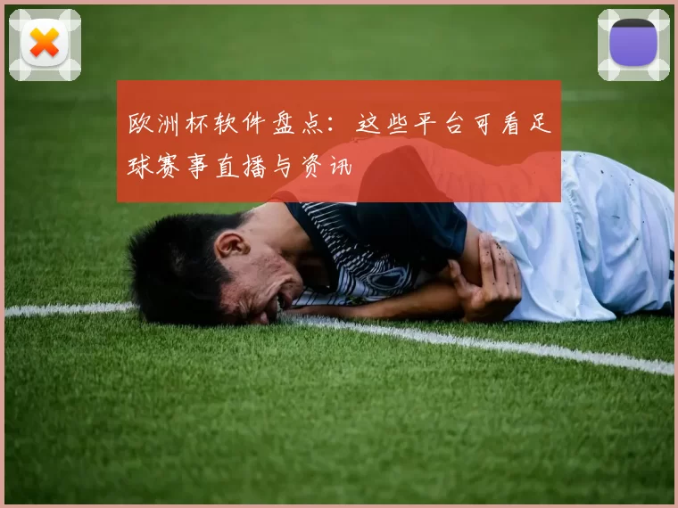 欧洲杯软件盘点:这些平台可看足球赛事直播与资讯