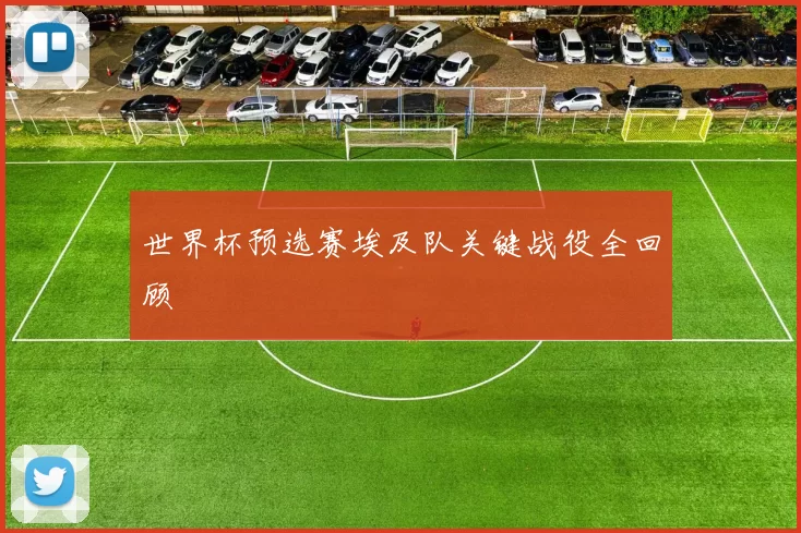 世界杯预选赛埃及队关键战役全回顾