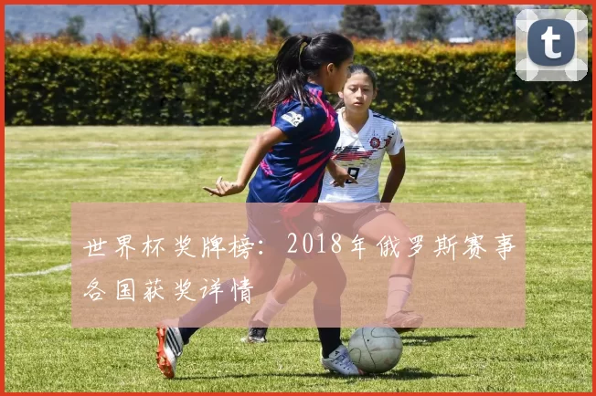 世界杯奖牌榜:2018年俄罗斯赛事各国获奖详情