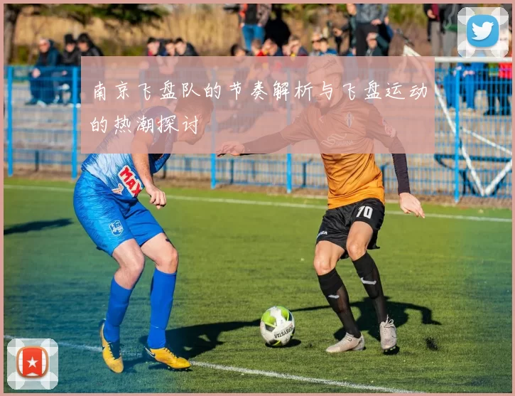 南京飞盘队的节奏解析与飞盘运动的热潮探讨