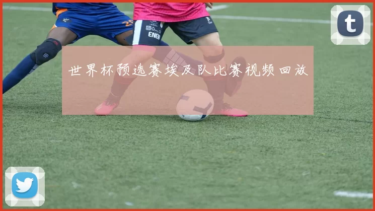 世界杯预选赛埃及队比赛视频回放