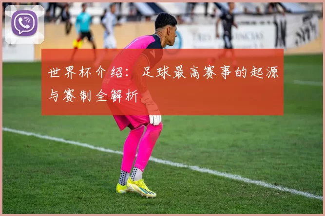世界杯介绍:足球最高赛事的起源与赛制全解析