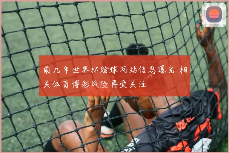 前几年世界杯赌球网站信息曝光 相关体育博彩风险再受关注