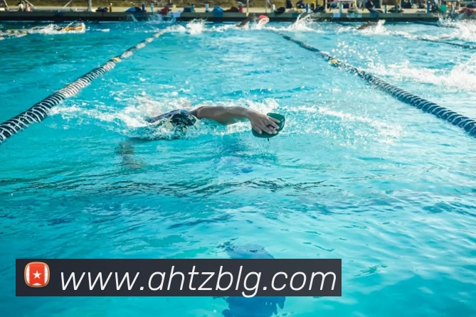 买球赛服务体系